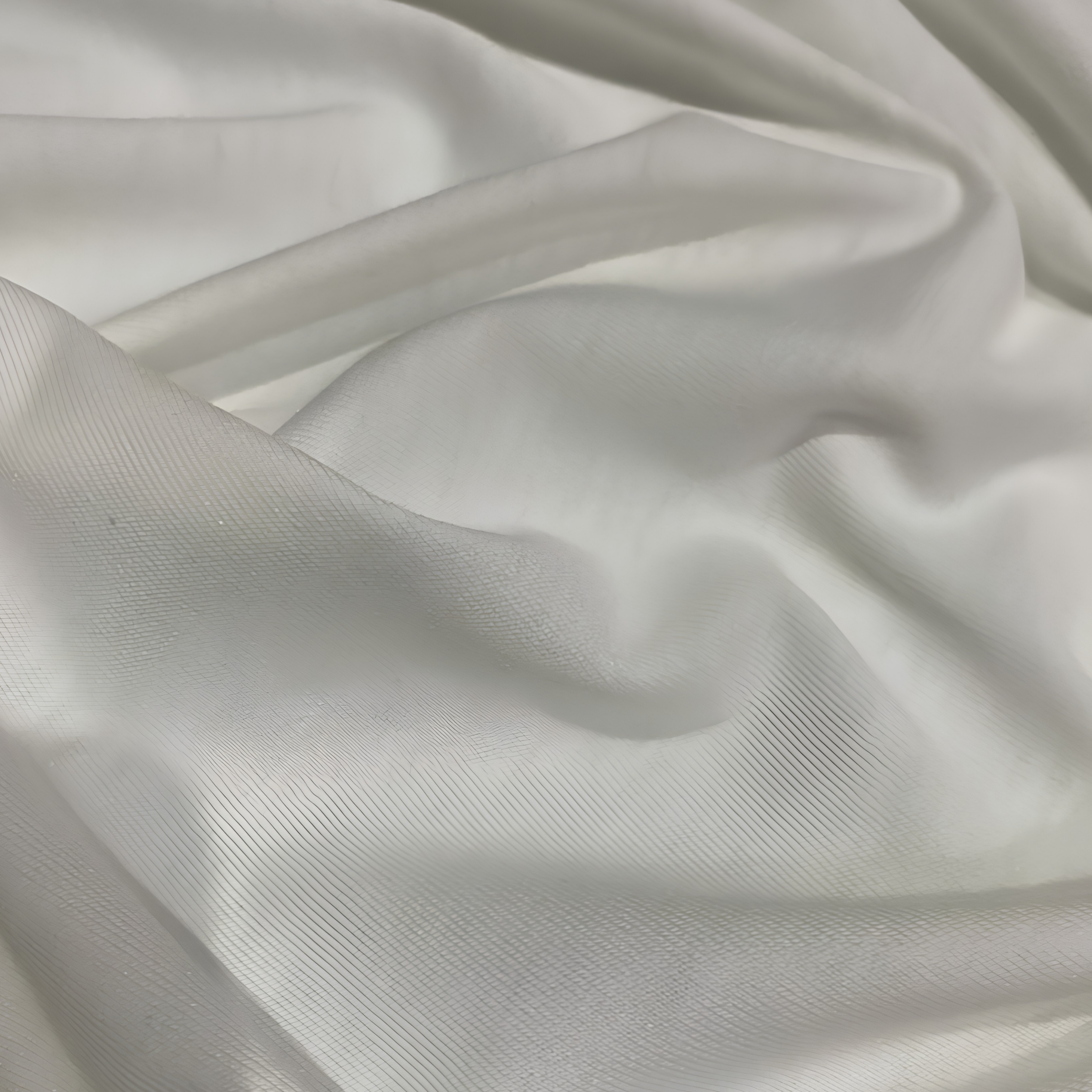 Graphic T-Shirt - White